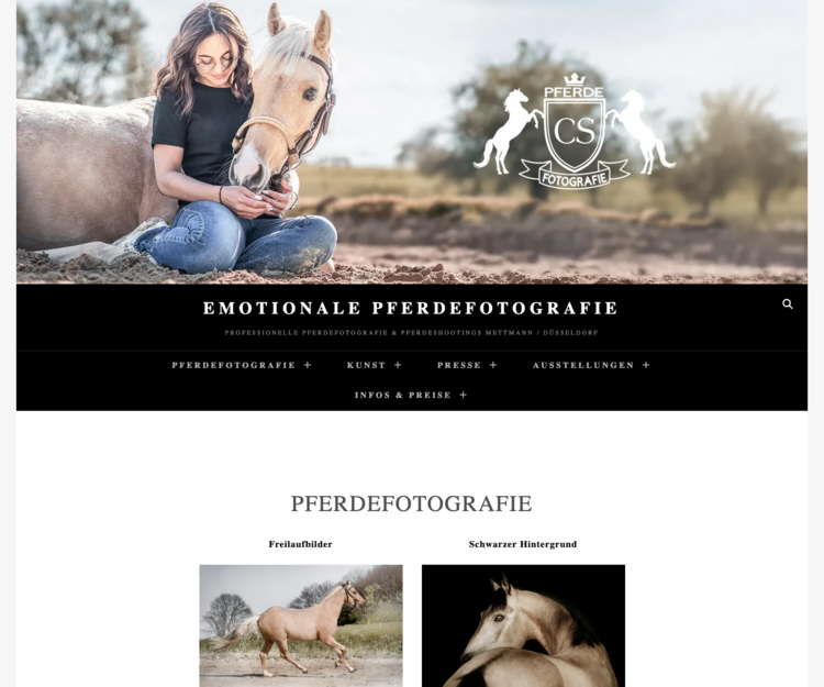 Pferdefotografie und Pferdegemälde